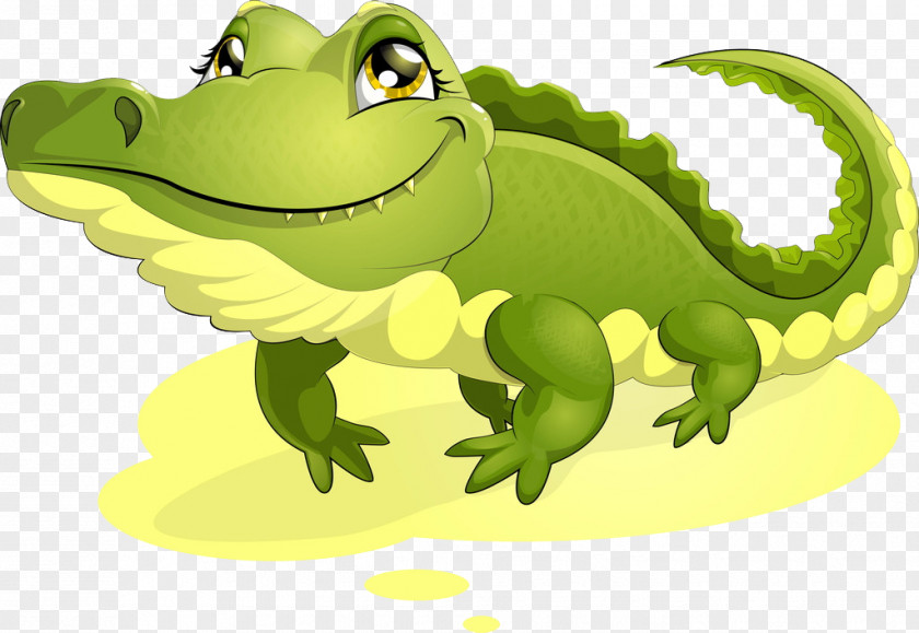 Crocodile Alligator Cartoon Illustration PNG