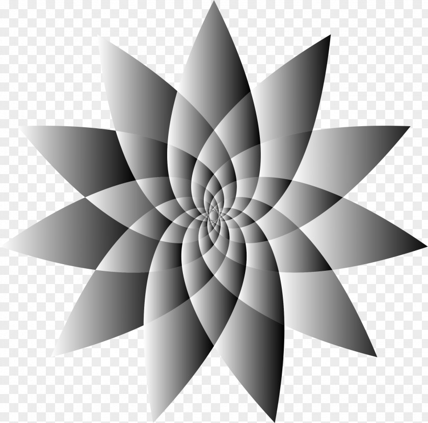Flower Line Black And White Art Drawing Clip PNG