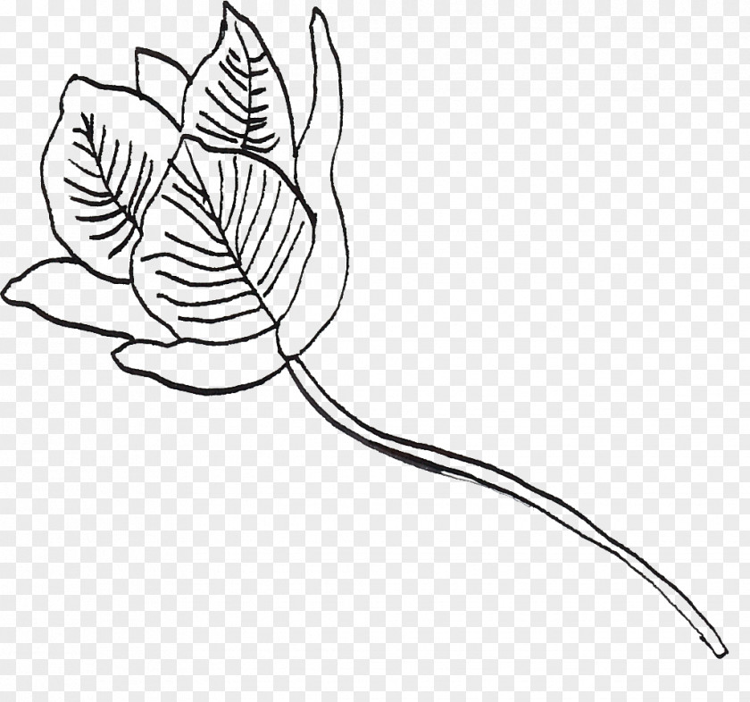 Flower Sketch /m/02csf Leaf Clip Art Drawing Plant Stem PNG