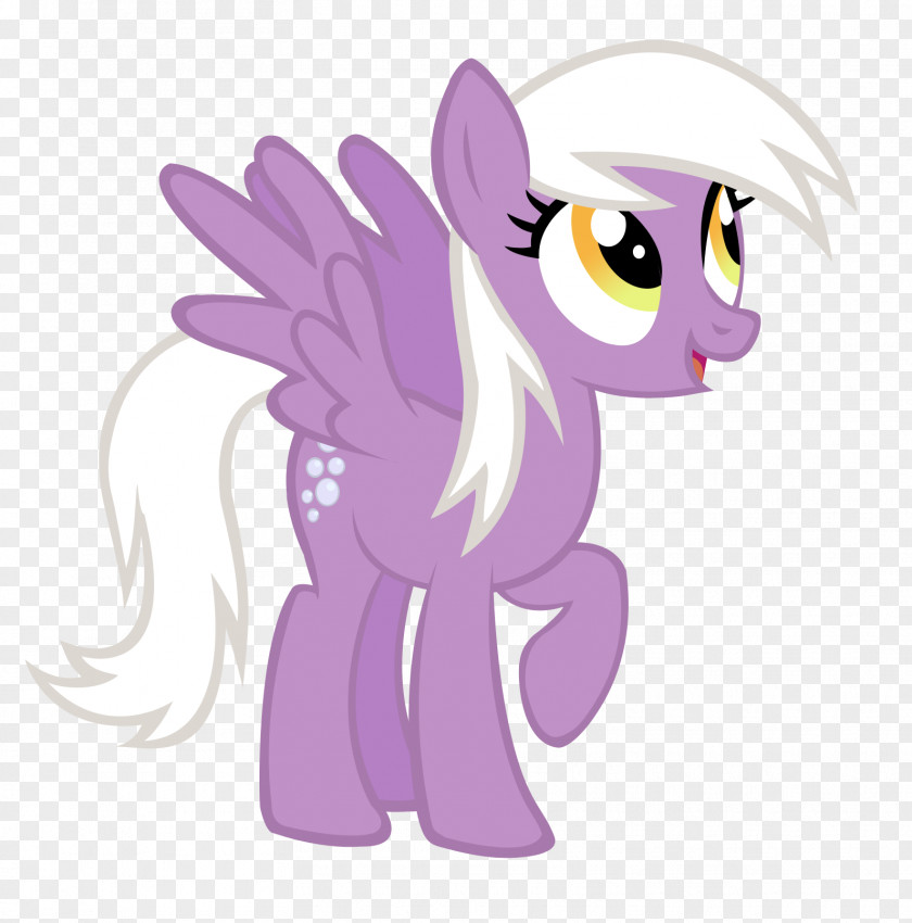 My Little Pony Derpy Hooves Pinkie Pie Rarity Twilight Sparkle Rainbow Dash PNG