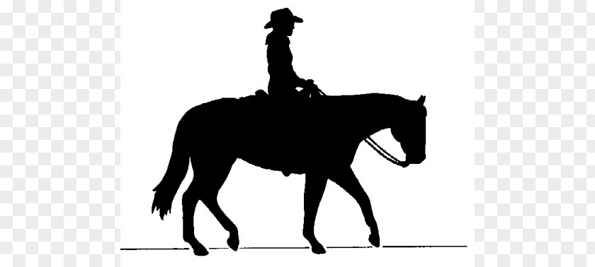 Outlier Cliparts Dallas Cowboys Horse Clip Art PNG