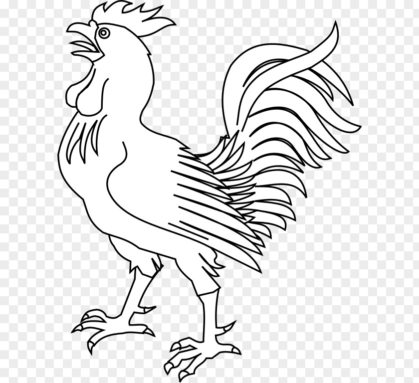 Chicken Rooster Drawing Clip Art PNG