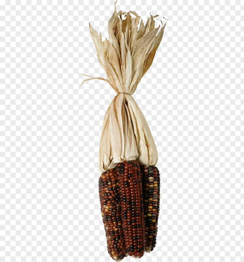 Dark Corn On The Cob Maize Food PNG