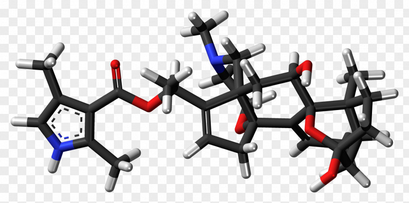 Darts Batrachotoxin Molecule Chemical Substance Frog Poison PNG