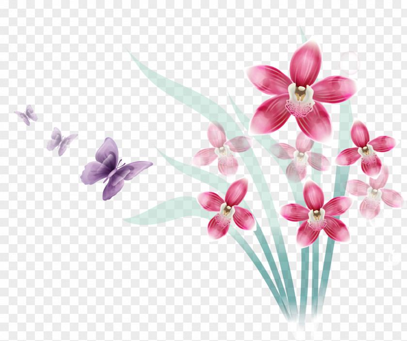 Female Flowers Orchids Flower Information PNG