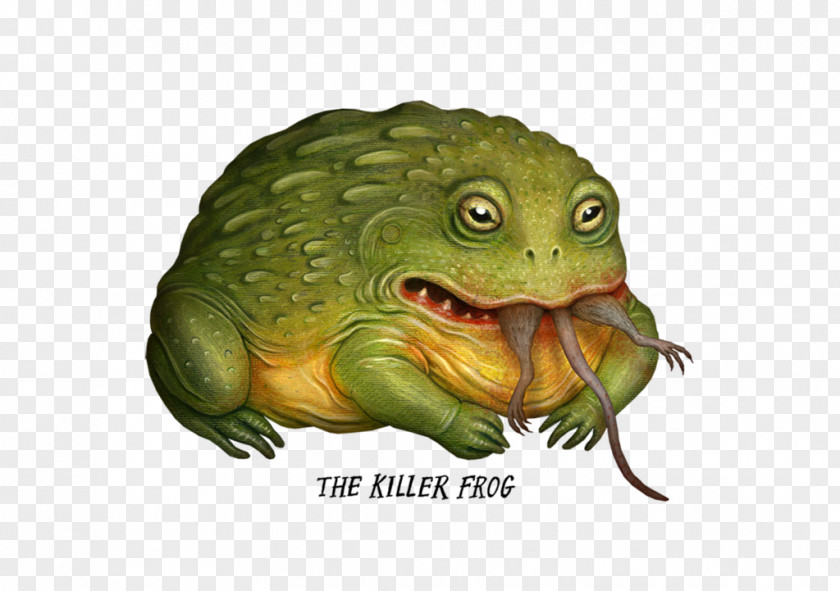 Frog American Bullfrog Toad DeviantArt Goliath PNG
