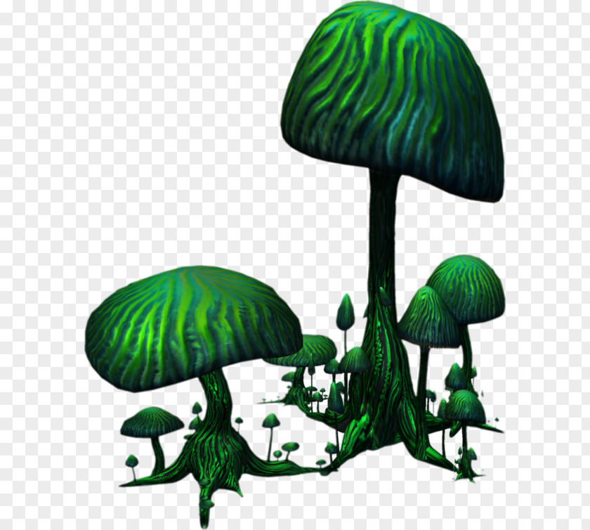 Green Mushroom Forest Illustration PNG