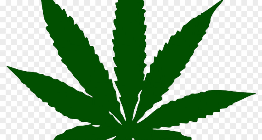 Health Cannabis Leaf Chart Clip Art Sativa Medical Image PNG