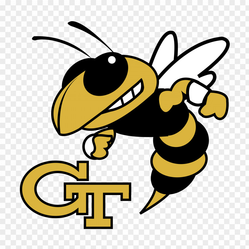 Jacket Georgia Institute Of Technology Tech Yellow Jackets Football Baseball Bulldogs Women's Basketball PNG