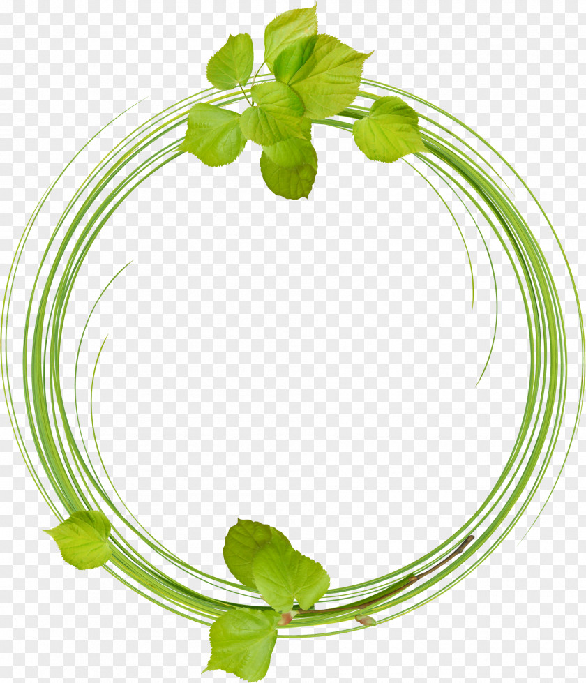 Leaves Ring PNG