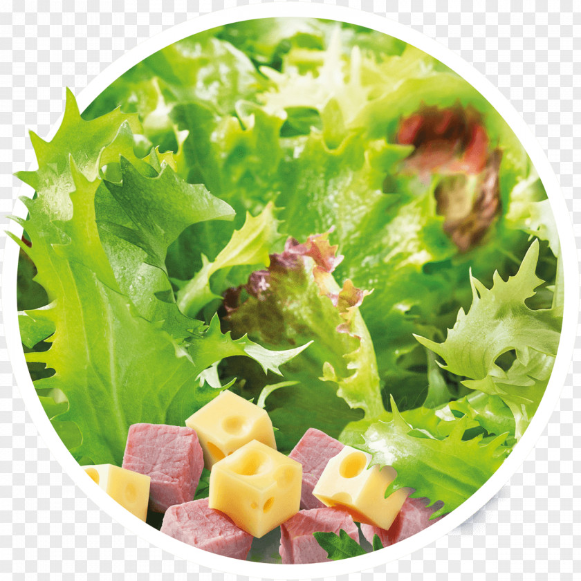 Salade De Crudites Lettuce Caesar Salad Vegetarian Cuisine Vinaigrette Chicken PNG