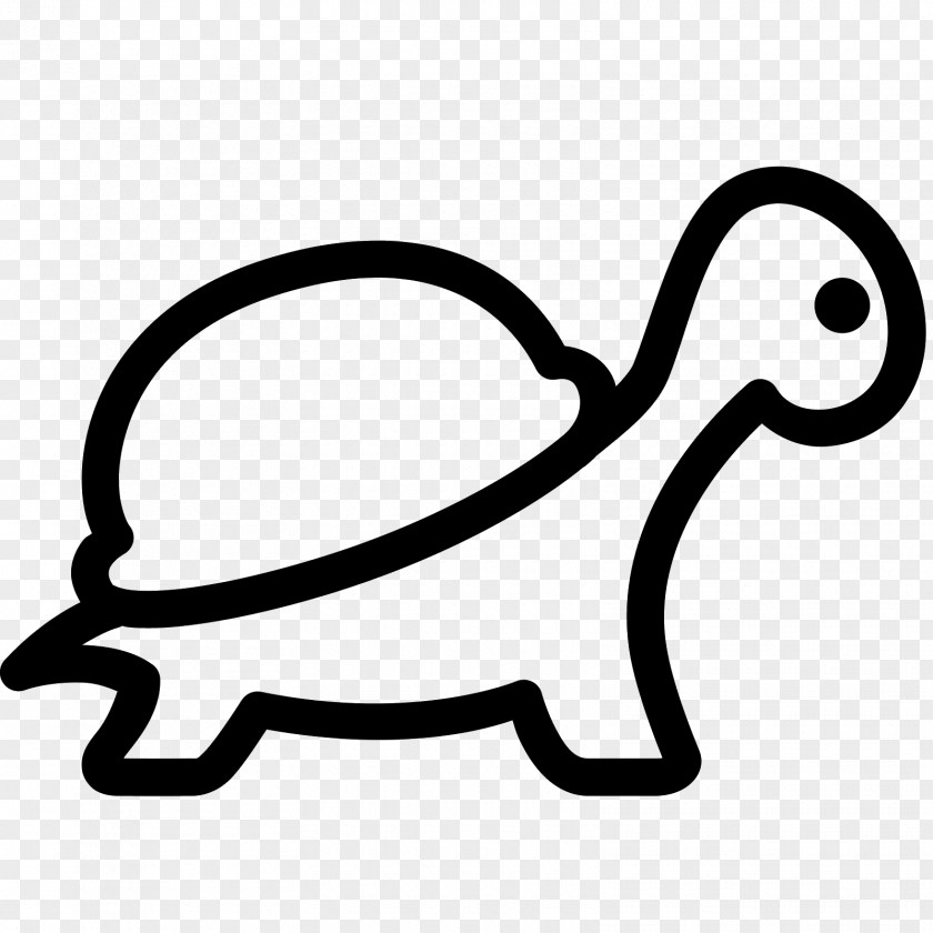 Turtle The Tortoise And Hare PNG