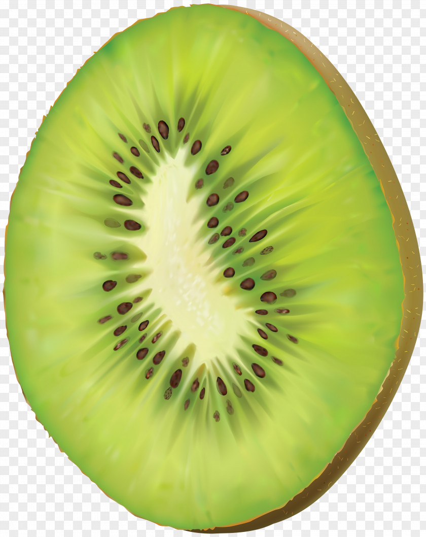 Kiwi Kiwifruit Food Vegetarian Cuisine Clip Art PNG