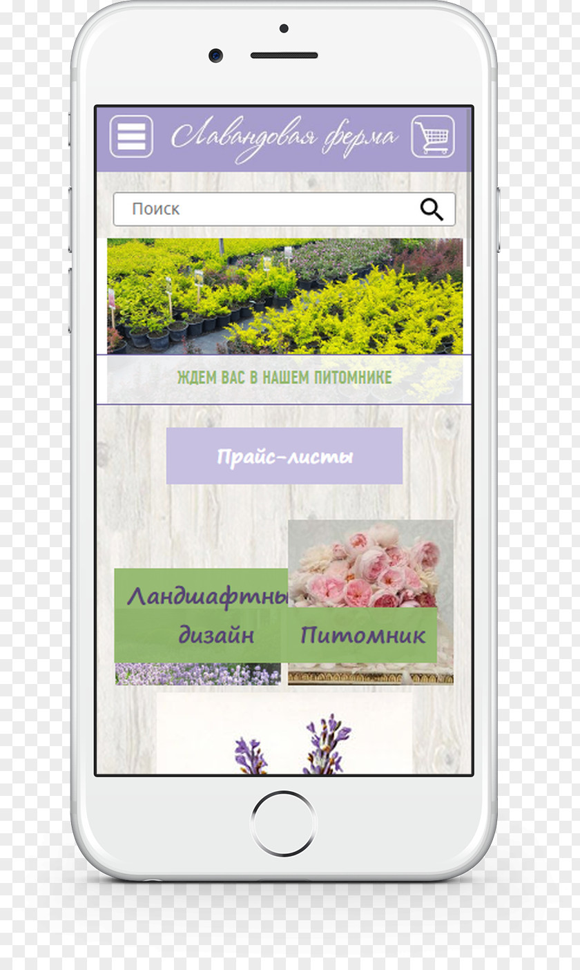 Lavender Fields Multimedia Mobile Phones IPhone PNG