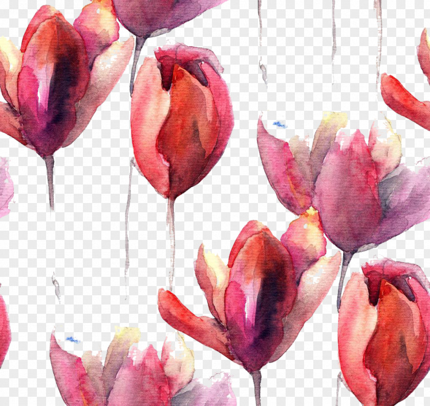 Tulips Background Picture Material Tulip Watercolor Painting Flower Illustration PNG