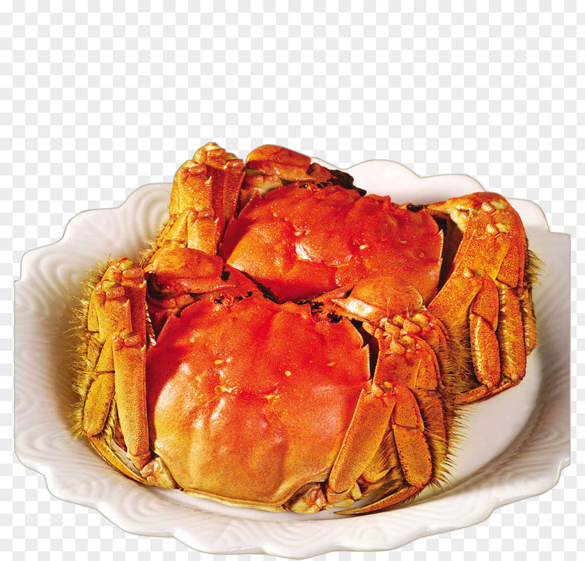 Yangcheng Lake Large Crab Chinese Mitten Shanghai Cuisine PNG large crab mitten cuisine, hairy crabs clipart PNG