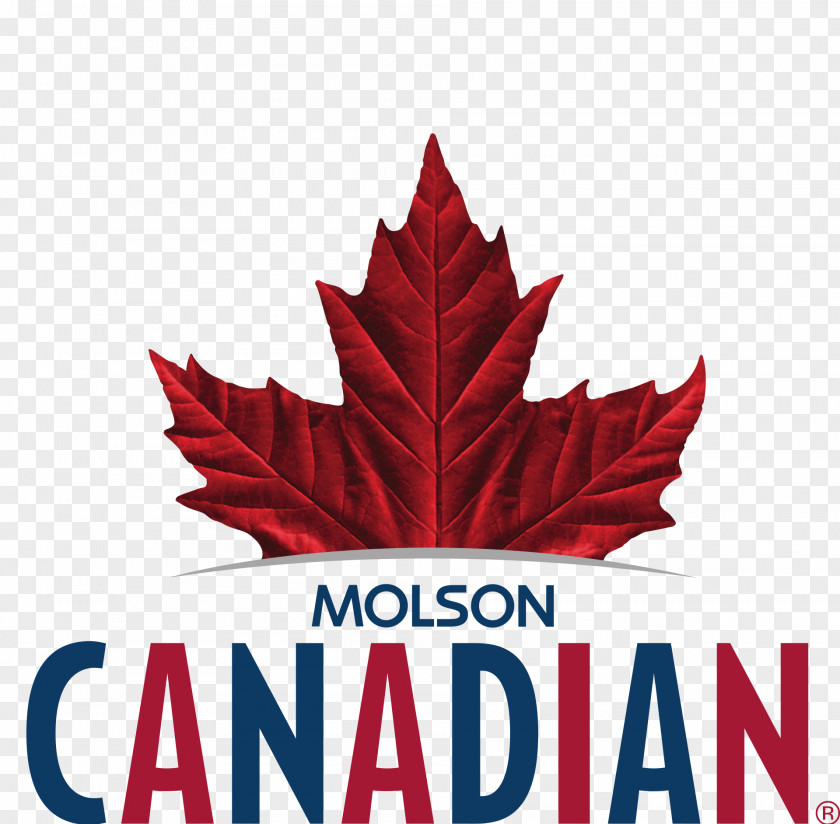 Beer Molson Brewery Miller Brewing Company Coors Lager PNG