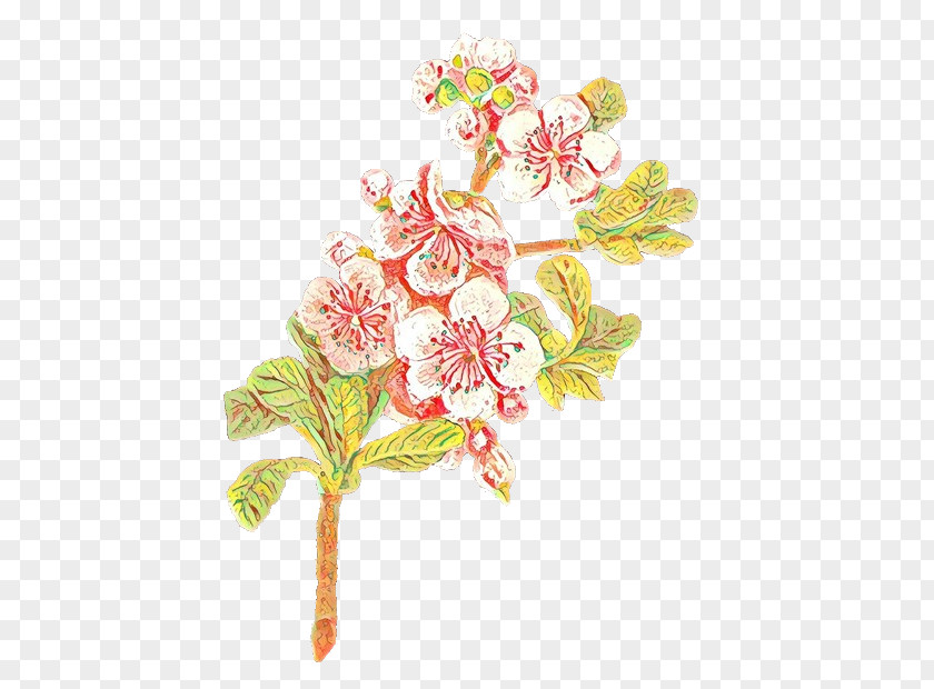 Clip Art Blossom Image PNG