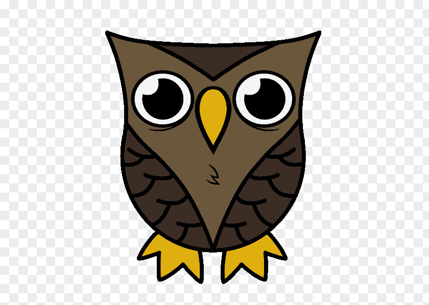 Color Owl Drawing Cartoon Sketch PNG