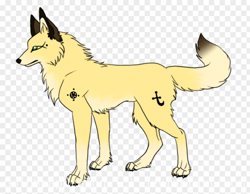 Dog Breed Red Fox Line Art PNG