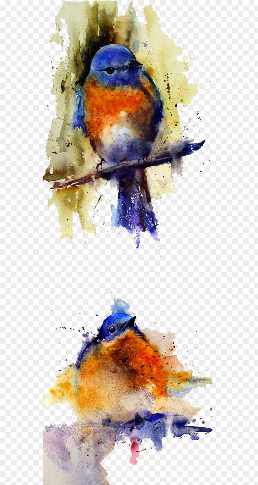 Paintings Sparrow Watercolor: Animals Watercolor Painting Artist Oil PNG