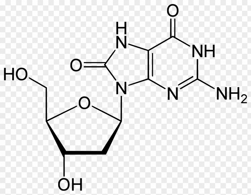 Purine Uric Acid Nucleic Adenine PNG