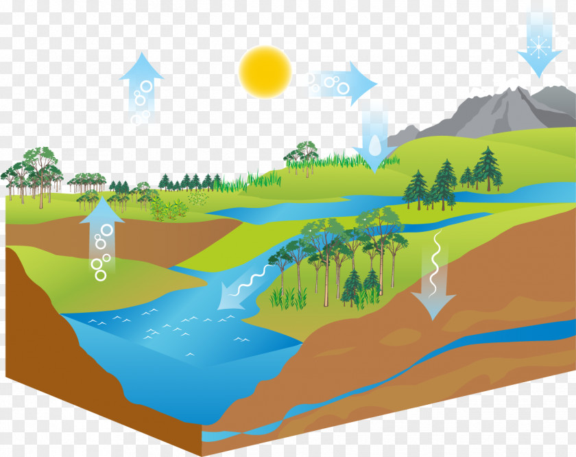 Air Cycle Ecosystem Diagram Water Stock Illustration PNG