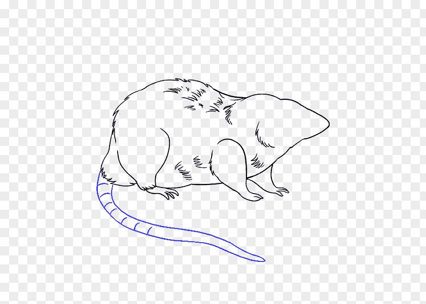 Sketch Guide Laboratory Rat Drawing Mouse PNG
