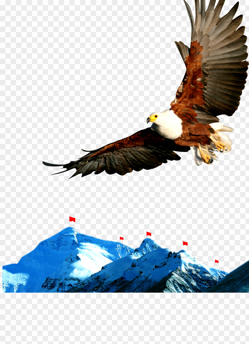 Snow Mountain In Eagle Poster Slogan Publicity PNG