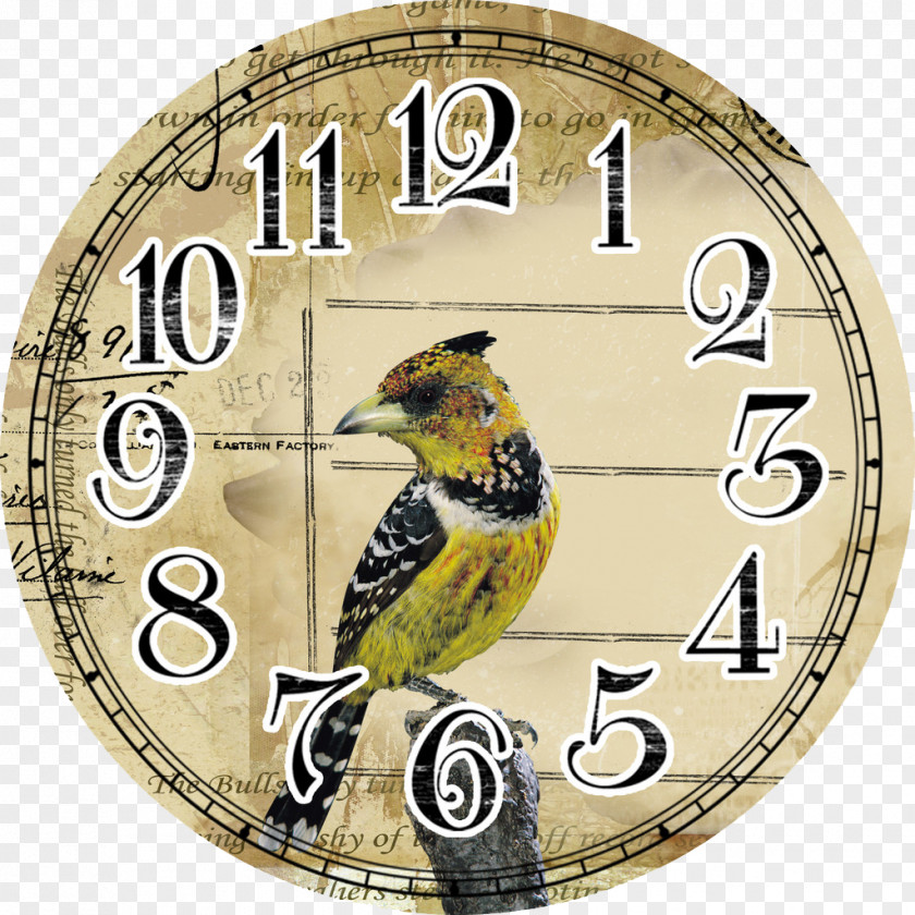 Watch Quartz Clock Face PNG