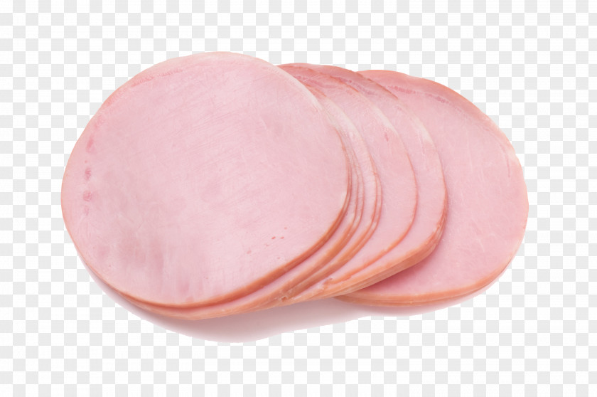 All Kinds Of Nutritious Food Ham Big Picture Material Sausage Mortadella PNG