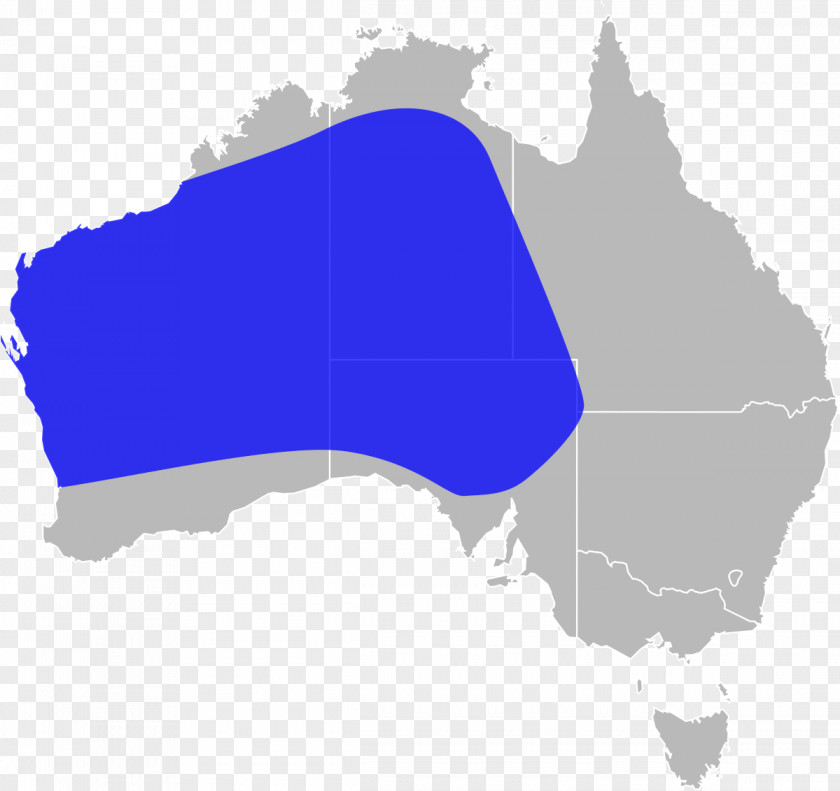 Australia Vector Graphics Map Image Clip Art PNG