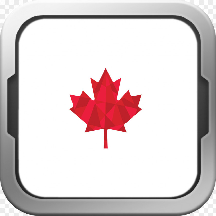 Canada Flag Of Day Maple Leaf PNG