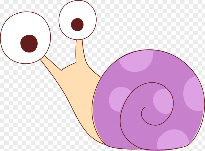 Cartoon Snail Escargot Orthogastropoda PNG