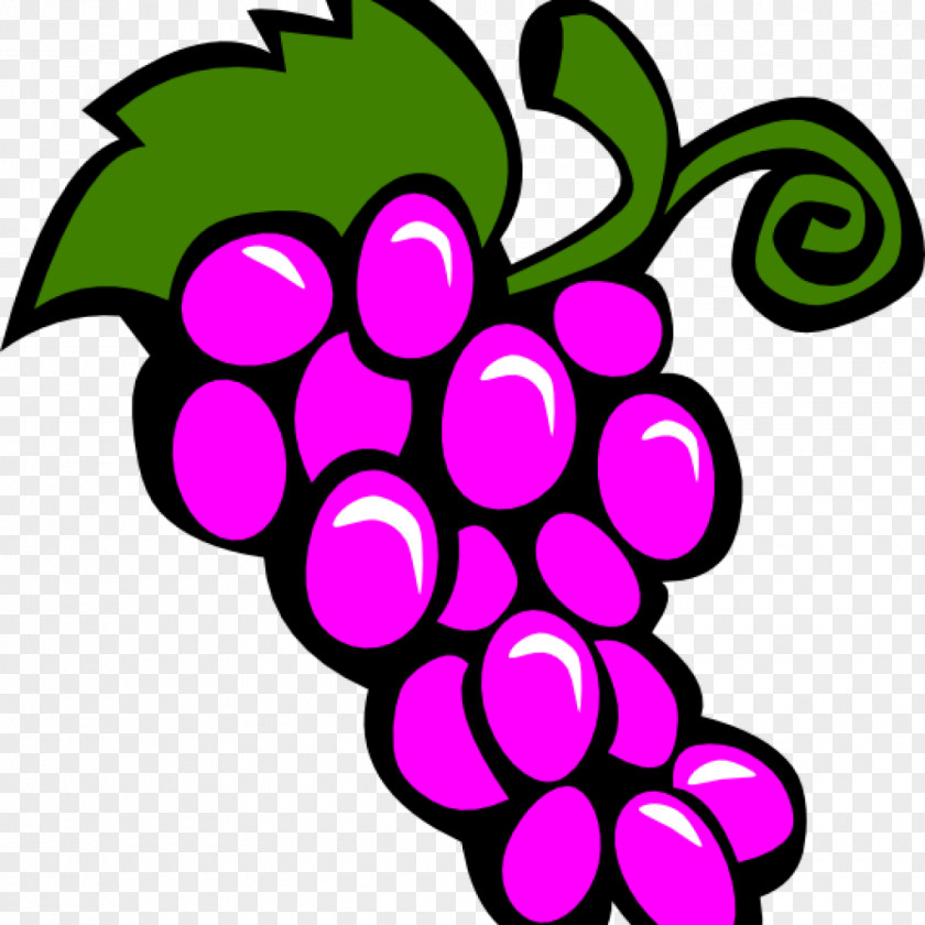 Grape Common Vine Clip Art Wine Vector Graphics PNG
