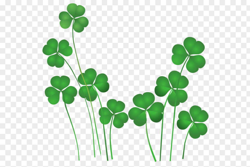 Irish Flower Cliparts Ireland St. Patricks Day Shamrocks Saint National ShamrockFest Public Holiday PNG