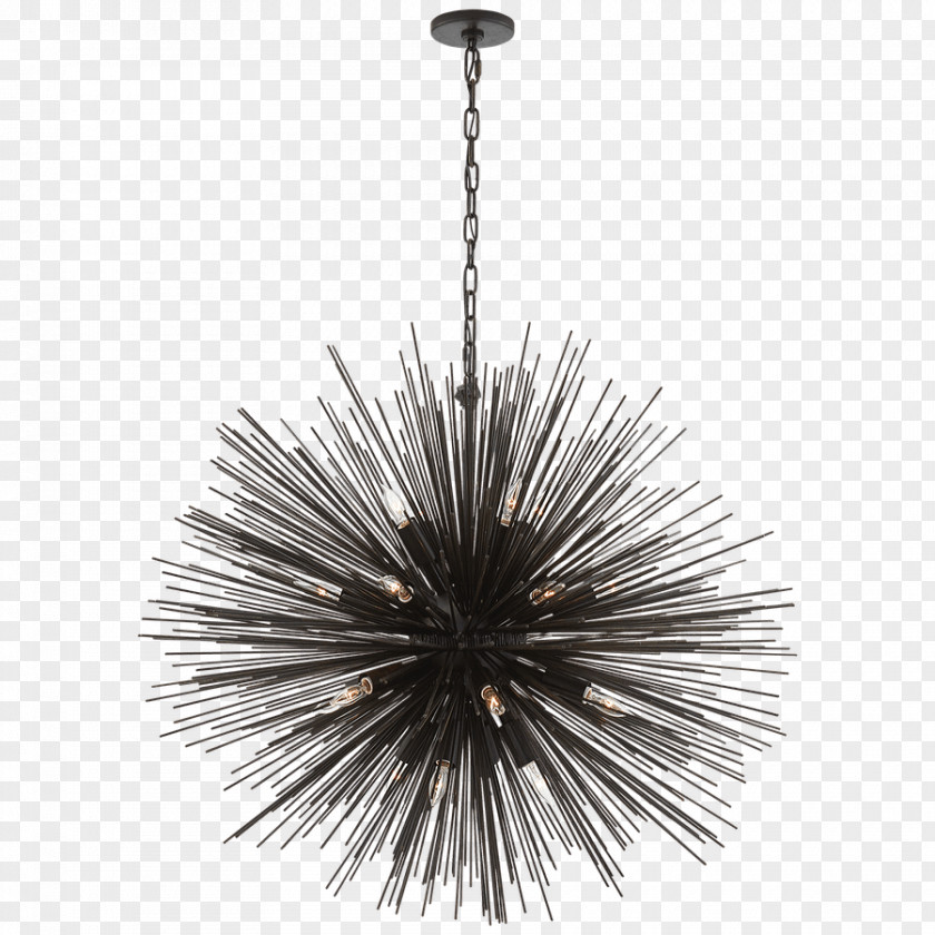 Light Capitol Lighting Chandelier Pendant PNG