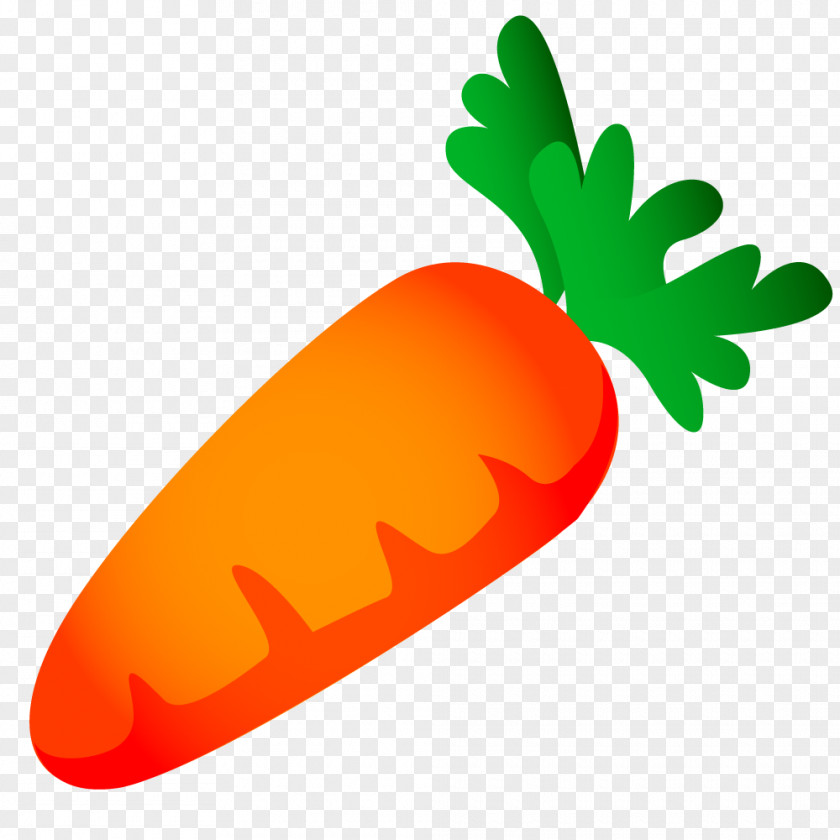 Mature Carrots Carrot Vegetable Food Ingredient PNG