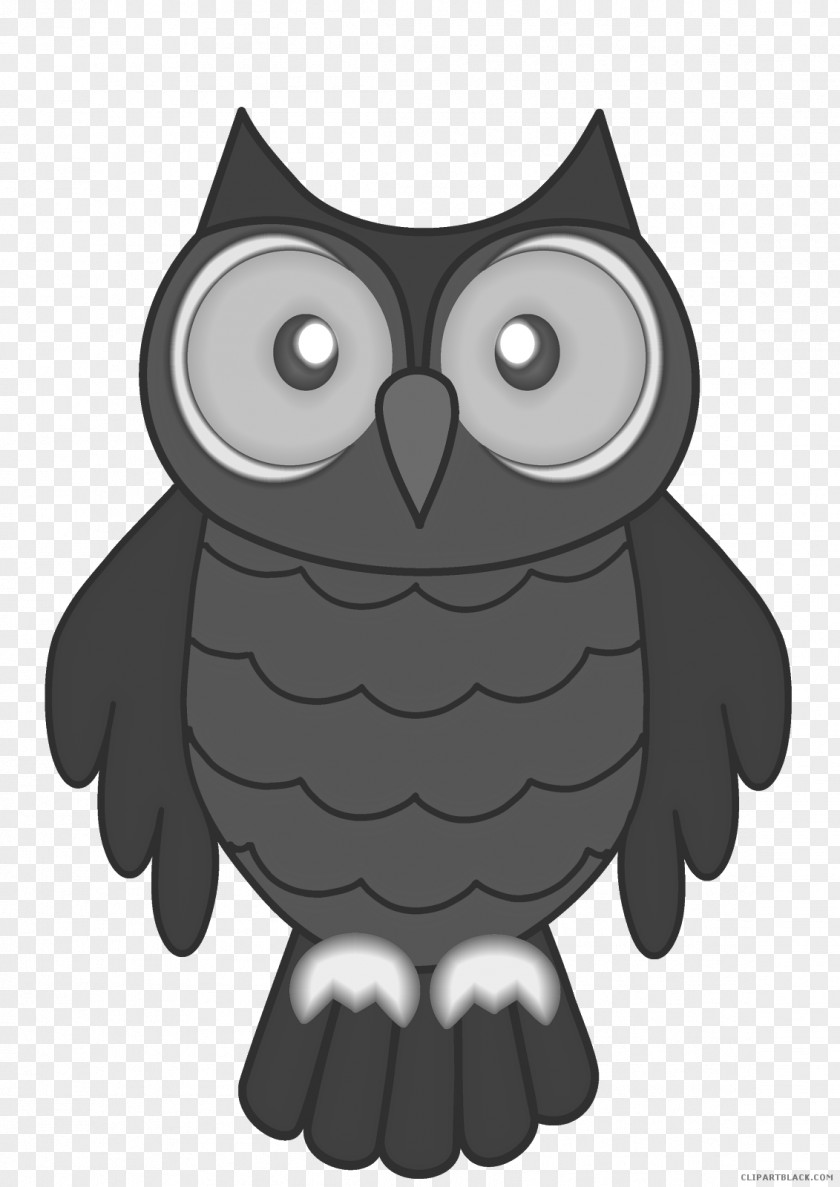 Owl Clip Art Desktop Wallpaper Image PNG