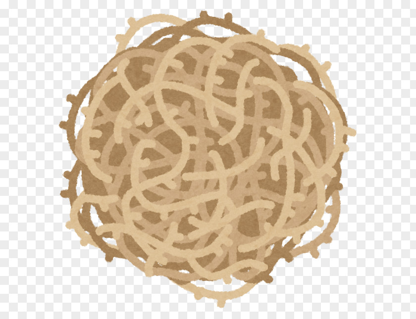 Tumble Weed Salsola Spaghetti Western Tumbleweed Action Film PNG