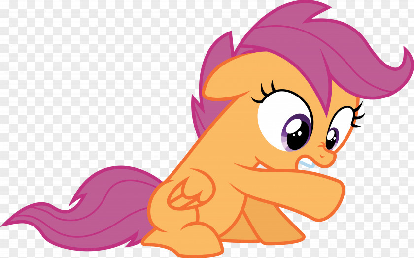 Cat Whiskers Horse Dog PNG