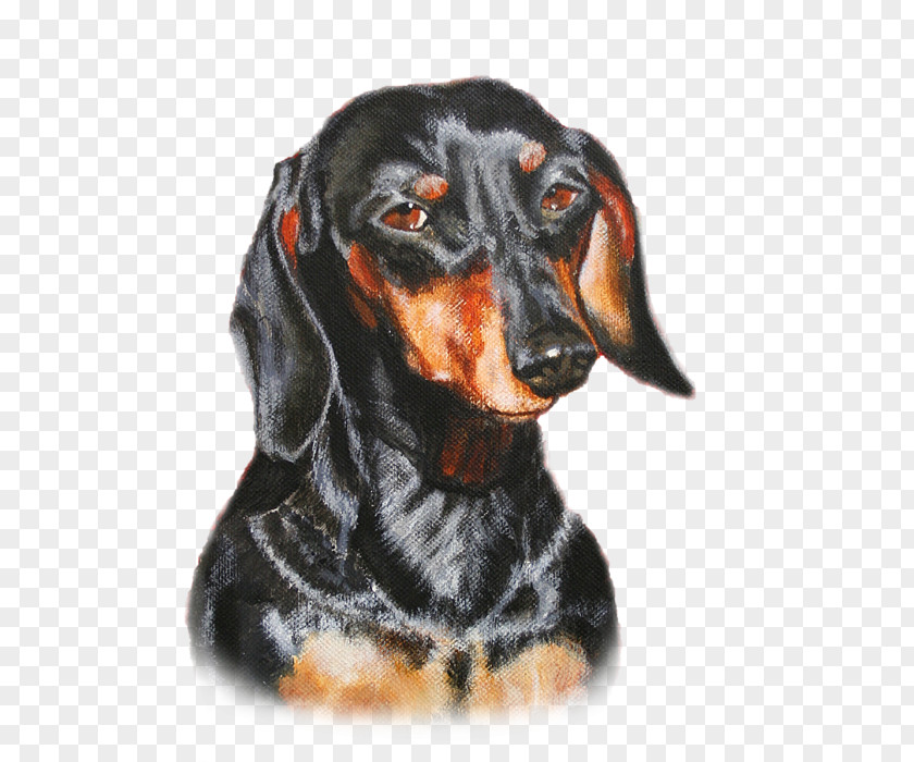 Dachshund Austrian Black And Tan Hound Coonhound Polish Hunting Dog Transylvanian Smaland PNG