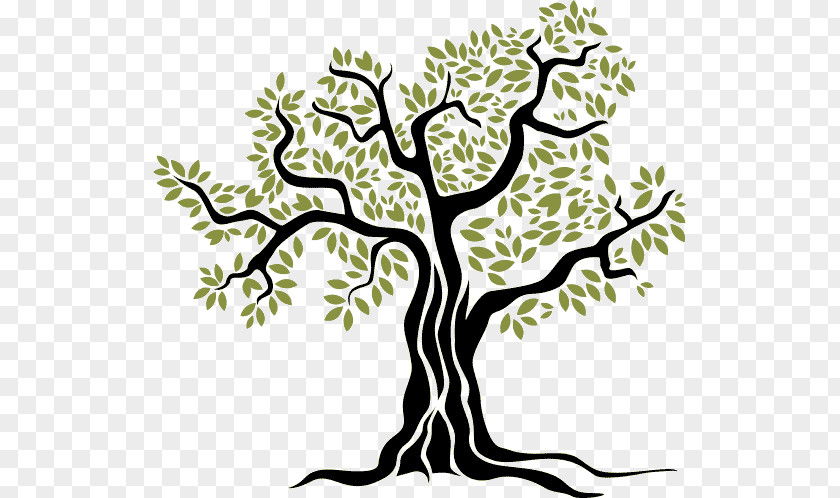 Forest Trunk Tree Drawing PNG