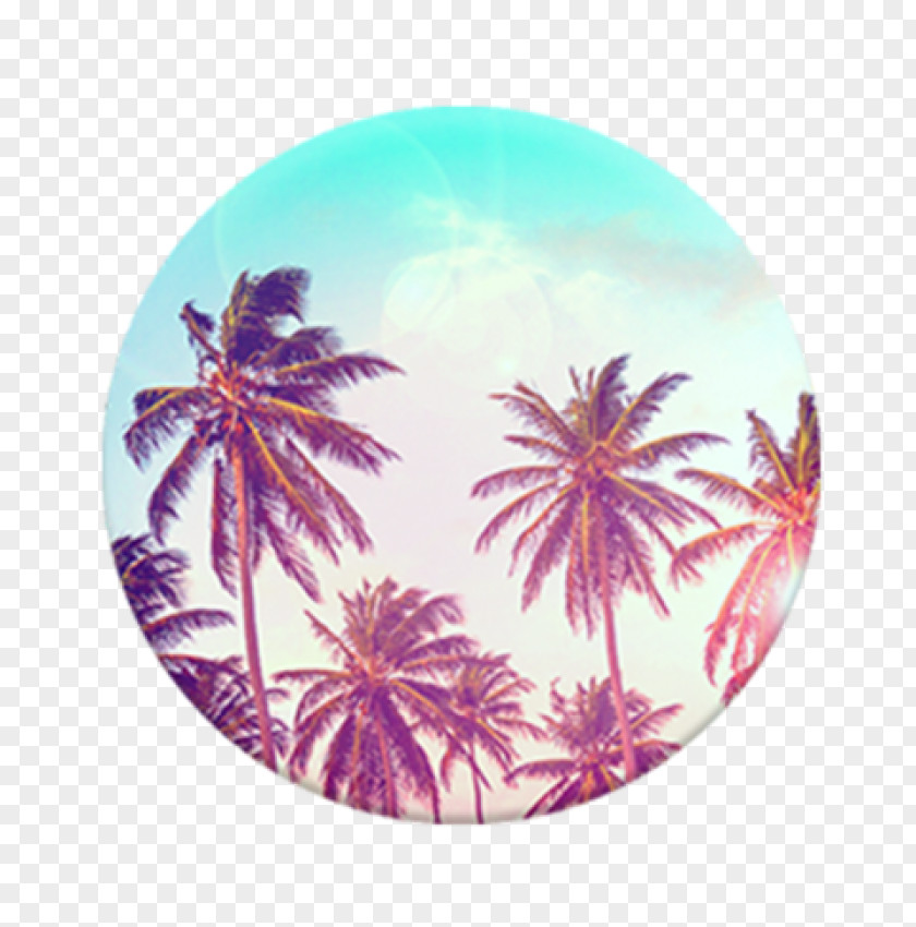 Tree PopSockets Grip Stand Mobile Phones Arecaceae PNG