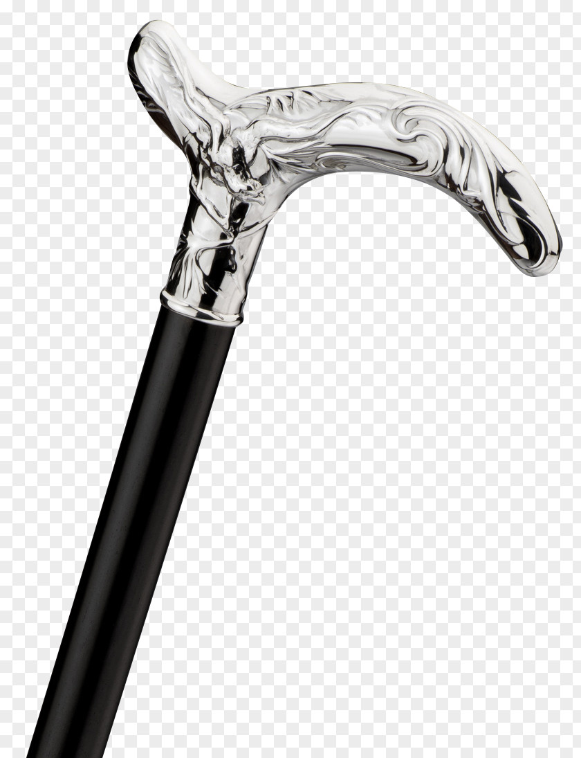 Walking Stick Assistive Cane Bastone Technology Carbon Fibers PNG