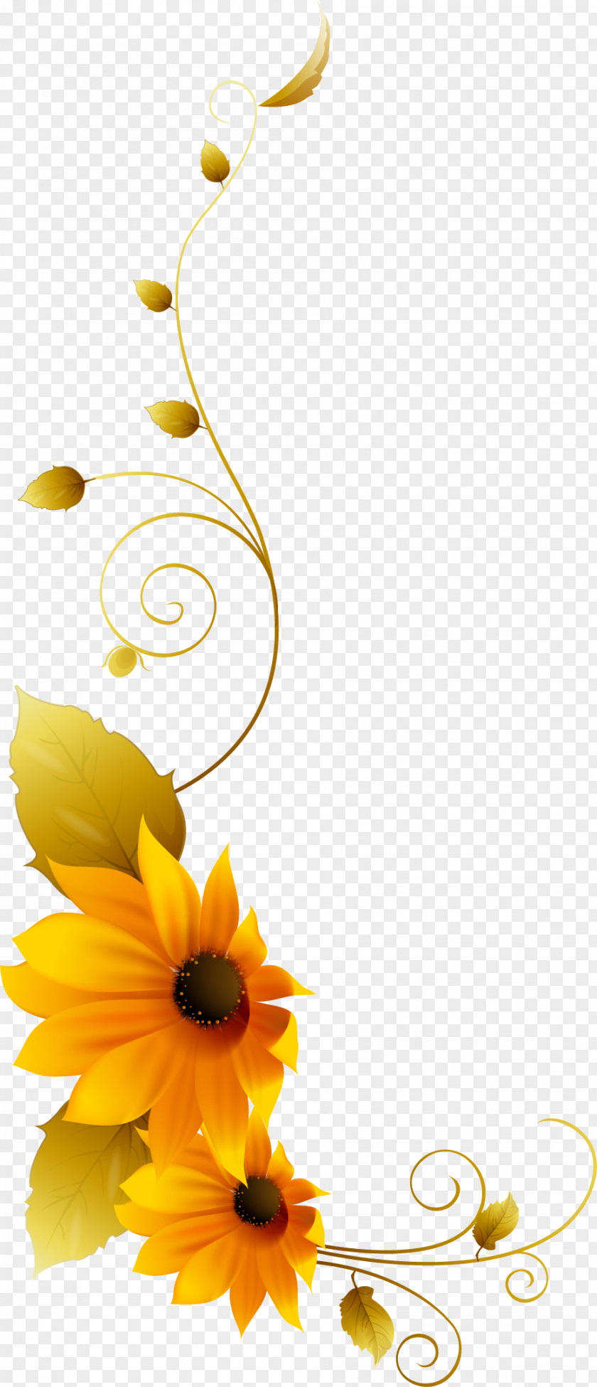 Yellow Daisy Flower Vine Pattern Chrysanthemum Clip Art PNG
