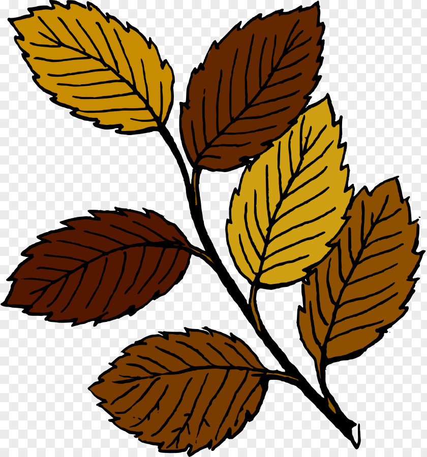 Fall Leaves Clipart Autumn Leaf Color Free Content Clip Art PNG