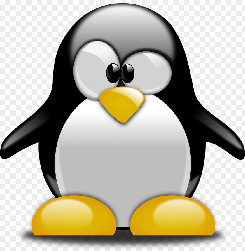 Linux Tux Racer Penguin Clip Art PNG