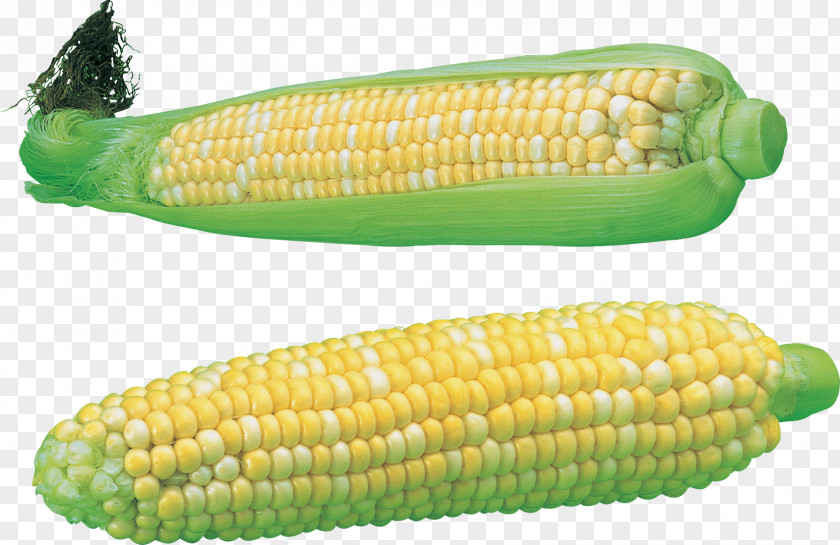 Vegetable Maize PNG