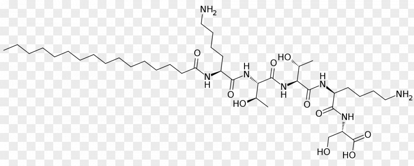 Acetyl Hexapeptide3 Palmitoyl Pentapeptide-4 Black And White Angle PNG